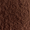 Teddy Cocoa